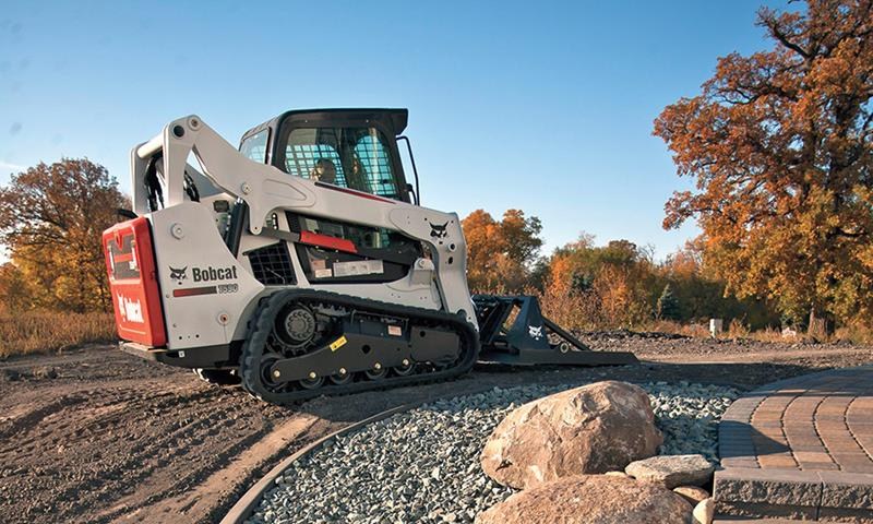 t590_bobcat (Copy)